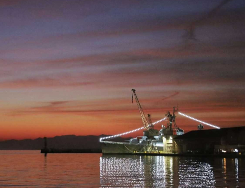 Σύγχρονες Φωτογραφίες 87