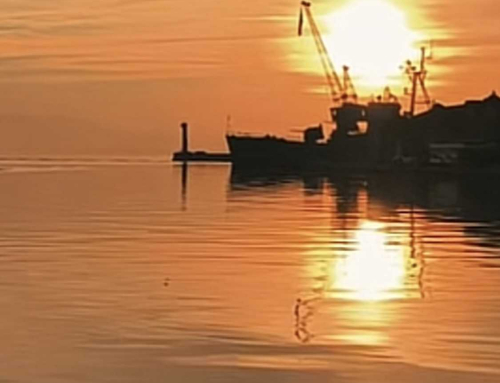 Σύγχρονες Φωτογραφίες 83